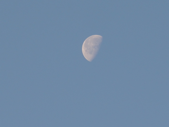e0232277_1111388.jpg