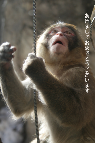 c0104378_17273571.png