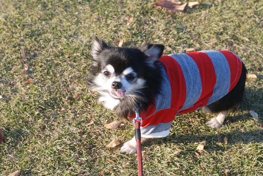 c0187781_14083477.jpg