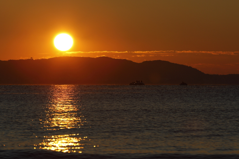 a0290990_1431985.jpg