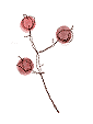 d0159690_6232534.gif