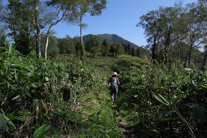 尻別岳　（留寿都コース） _a0270291_20522522.jpg