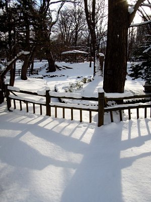 artigana-gのSAPPORO・2_b0055196_224097.jpg
