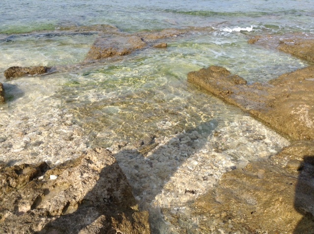 b0292900_16362478.jpeg