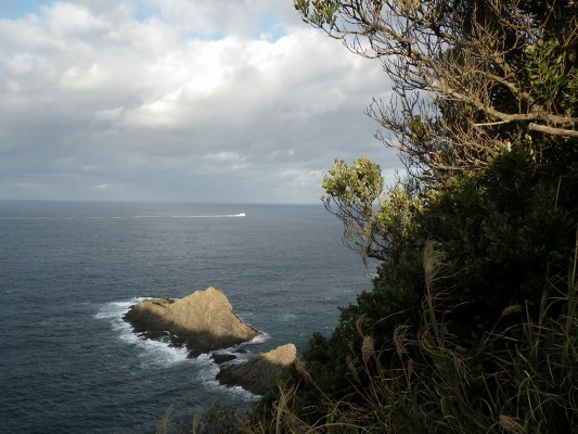 f0187402_2016268.jpg