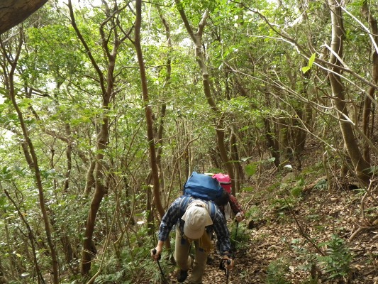 f0187402_20174638.jpg