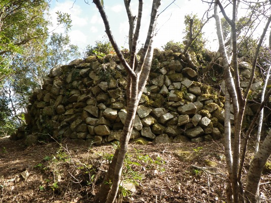 f0187402_20175947.jpg