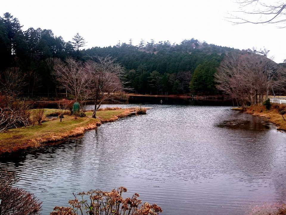 f0266202_19112901.jpg