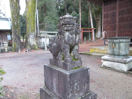 愛宕神社・船を繋いだ千年欅_a0203003_1785233.jpg