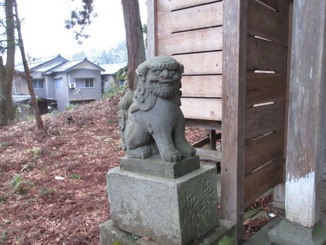 愛宕神社・船を繋いだ千年欅_a0203003_1791123.jpg