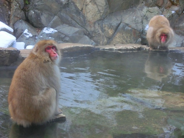 b0190603_23445983.jpg