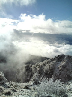 e0028904_18331587.jpg