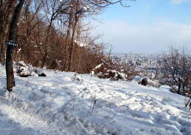 a0345007_1714024.jpg