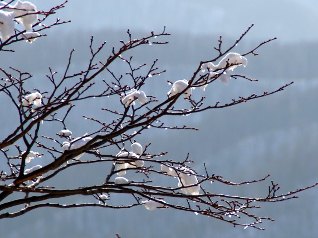 a0345007_1733143.jpg