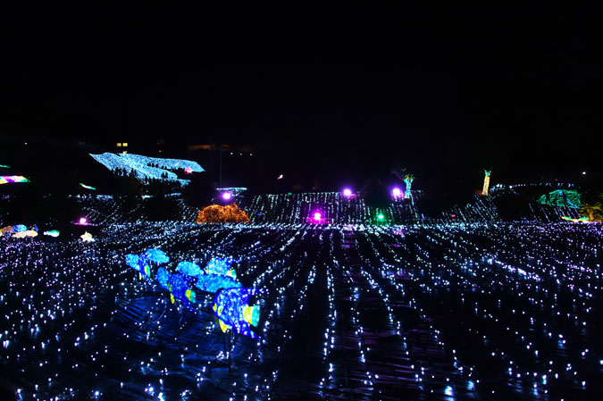 a0263109_20201039.jpg