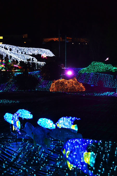 a0263109_20201287.jpg
