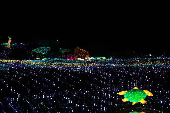 a0263109_20201987.jpg