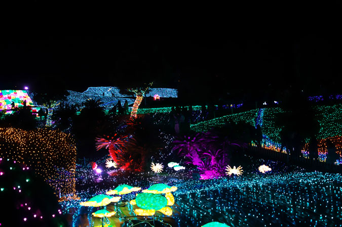 a0263109_20222082.jpg