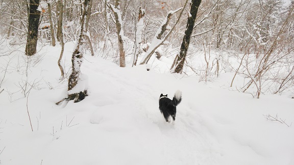 福島で雪遊び ♪_a0200311_1449882.jpg