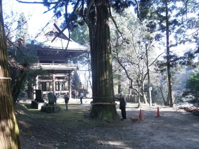 a0189513_2162861.jpg