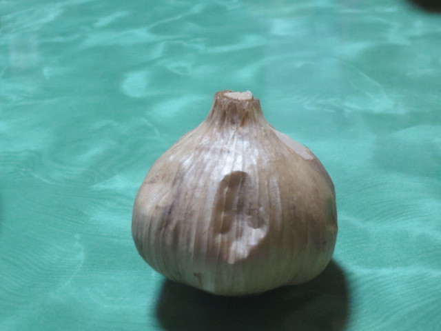 f0248616_10312203.jpg