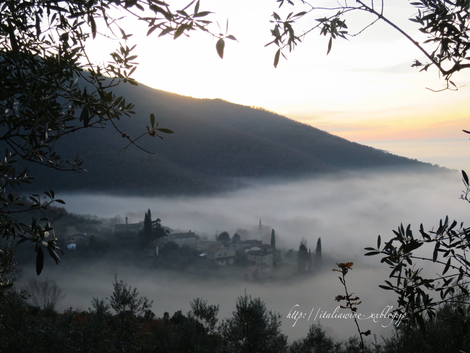 d0219019_9371723.jpg