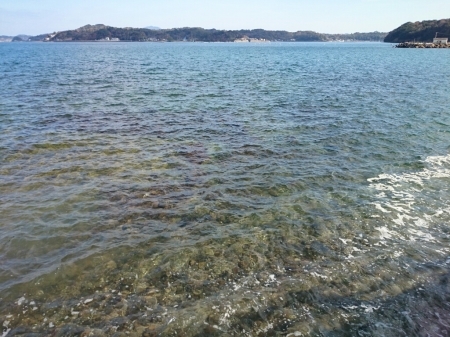 b0259124_11585625.jpg