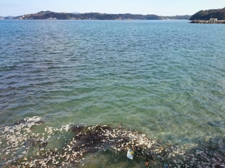 b0259124_11590077.jpg