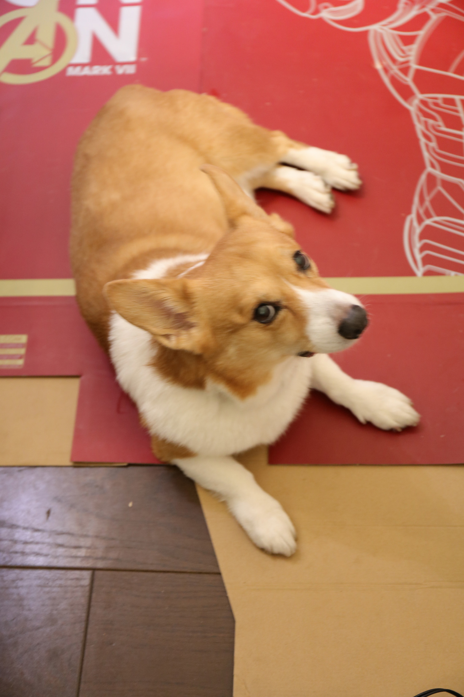 b0310424_12015338.jpg