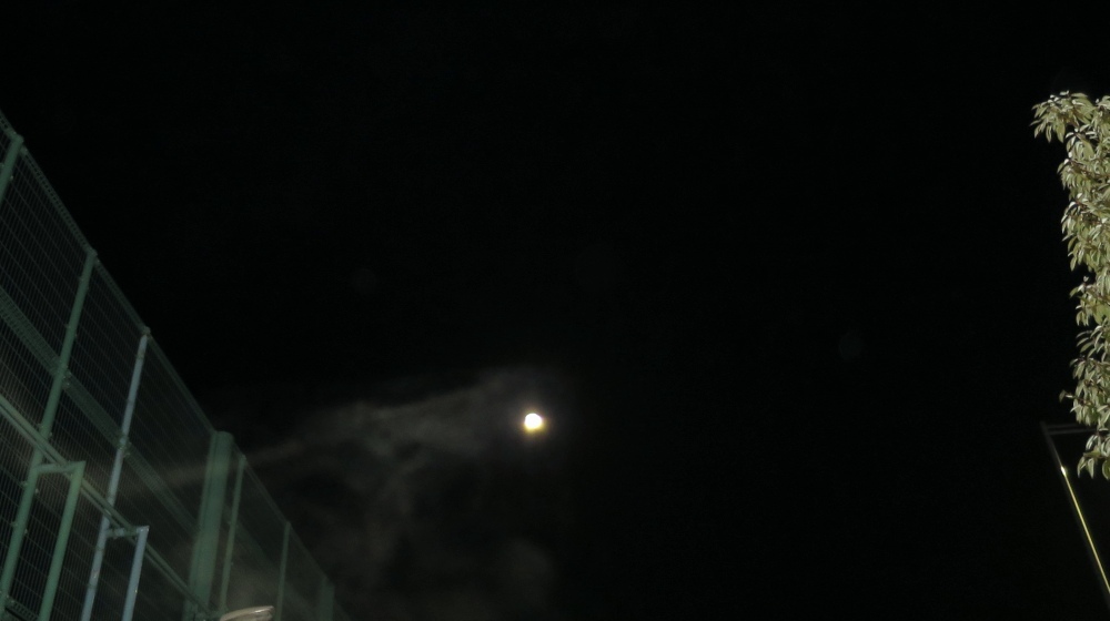 c0331825_13042265.jpg