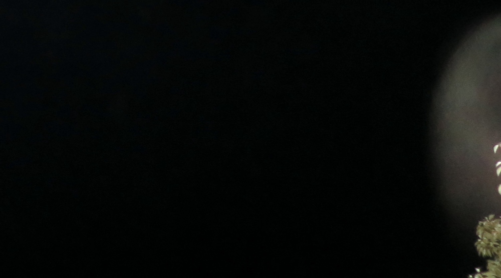 c0331825_13084516.jpg