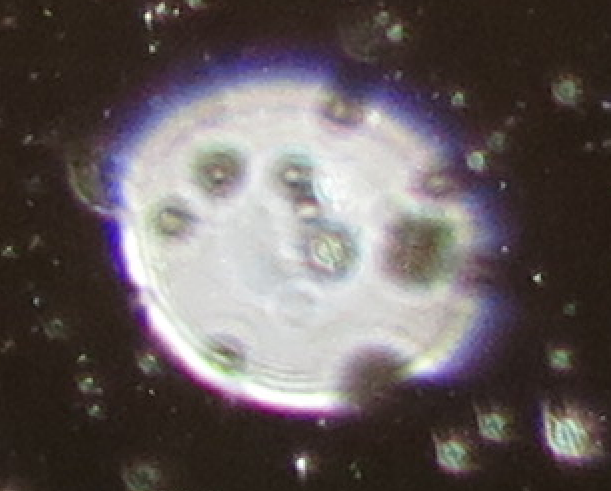 c0331825_14595091.png