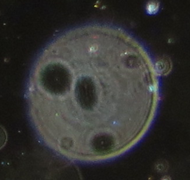 c0331825_15051076.png