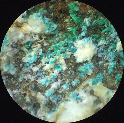 d0045626_21443203.jpg