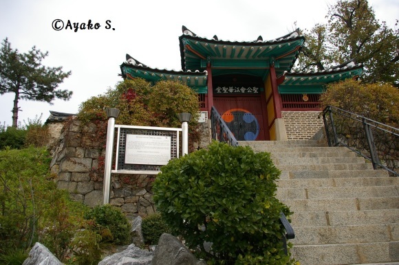 f0283431_22520246.jpg