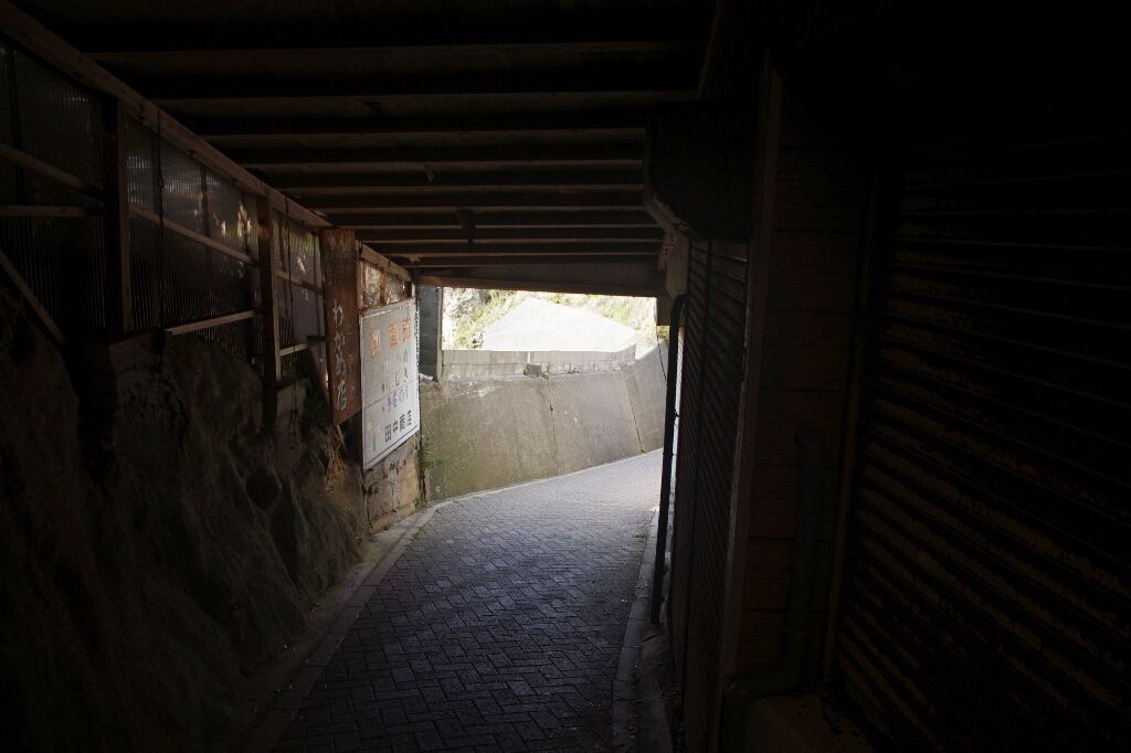 伊勢志摩旅行(2日目)_c0113733_1843073.jpg
