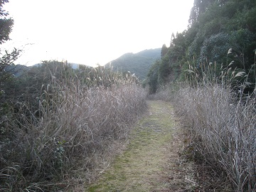 鹿児島県　　稲尾岳_c0077338_7391041.jpg