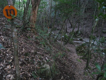 鹿児島県　　稲尾岳_c0077338_7395791.jpg