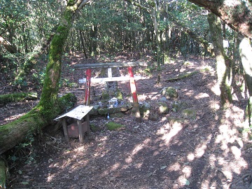 c0077338_7402876.jpg