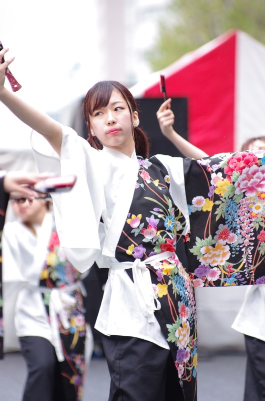 YOSAKOIぶち楽市民祭２０１５その９（桜翔連）_a0009554_2215915.jpg