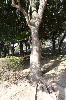 だまされたっていいんだよ 最終回_c0134569_2193594.jpg