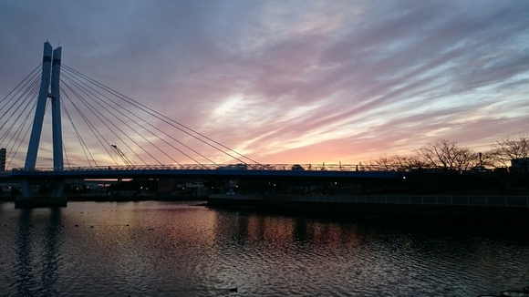 d0193569_91336.jpg