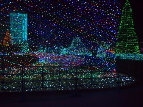 c0058978_2213579.jpg