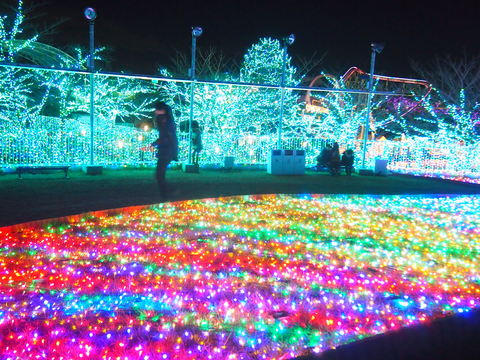 c0058978_24997.jpg