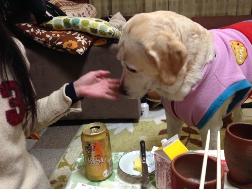 f0315081_11074621.jpeg