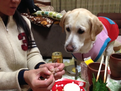f0315081_11091822.jpeg