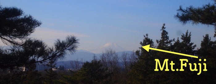 a0198883_21565448.jpg