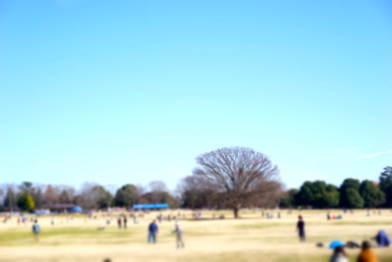 a0198883_21571053.jpg