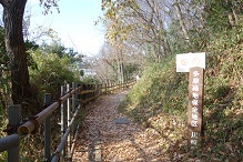 d0183387_23361305.jpg