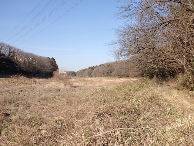 f0310988_21594727.jpg